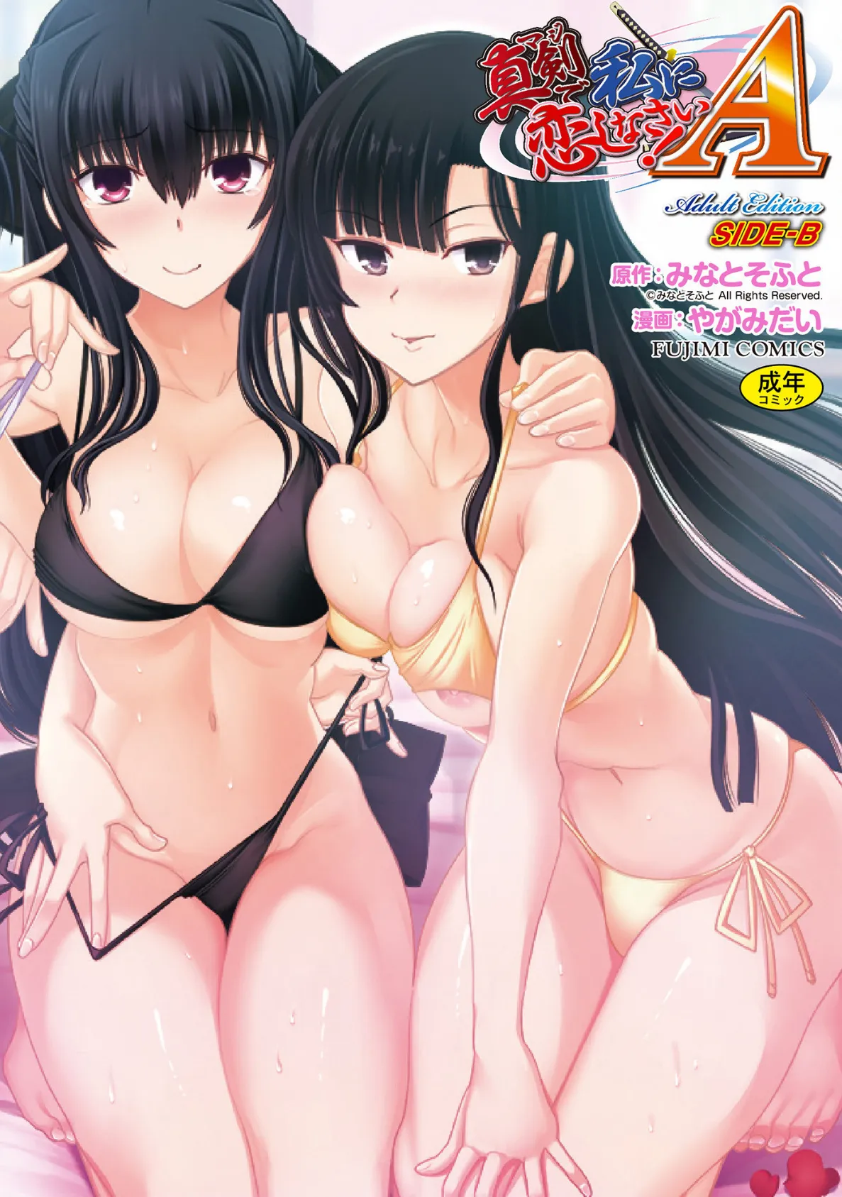 真剣で私に恋しなさい! A Adult Edition SIDE-B