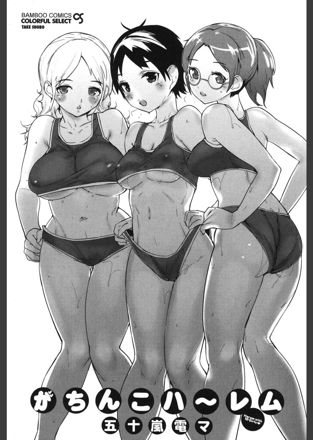 がちんこハ〜レム 2ページ
