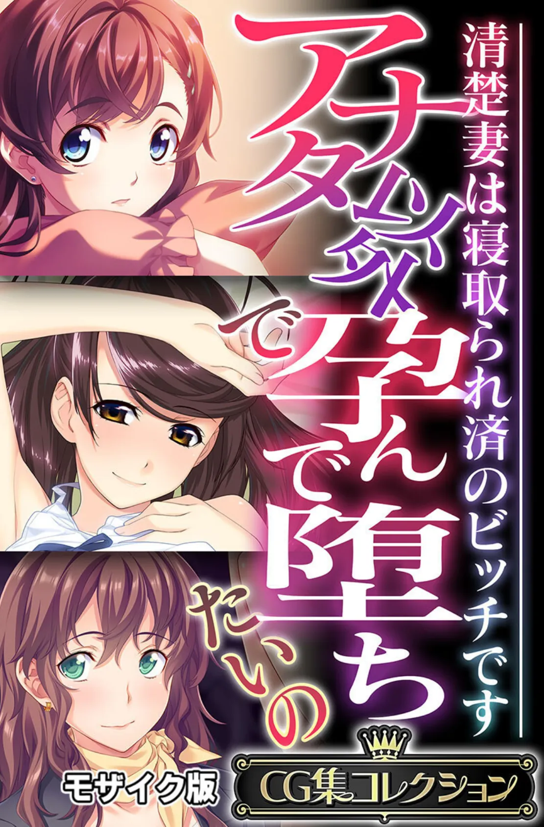 アナタ以外で孕んで堕ちたいの 〜清楚妻は寝取られ済のビッチです〜【CG集コレクション】 モザイク版