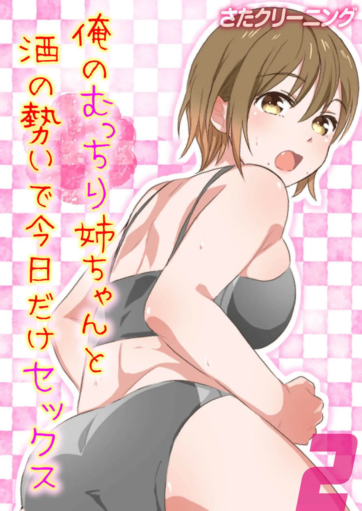 俺のむっちり姉ちゃんと酒の勢いで今日だけセックス (2)