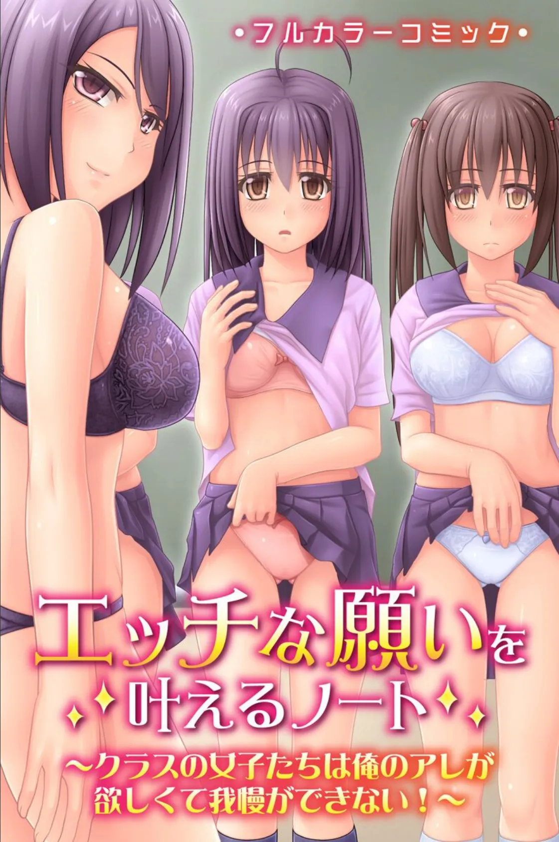 エッチな願いを叶えるノート〜クラスの女子たちは俺のアレが欲しくて我慢ができない!〜