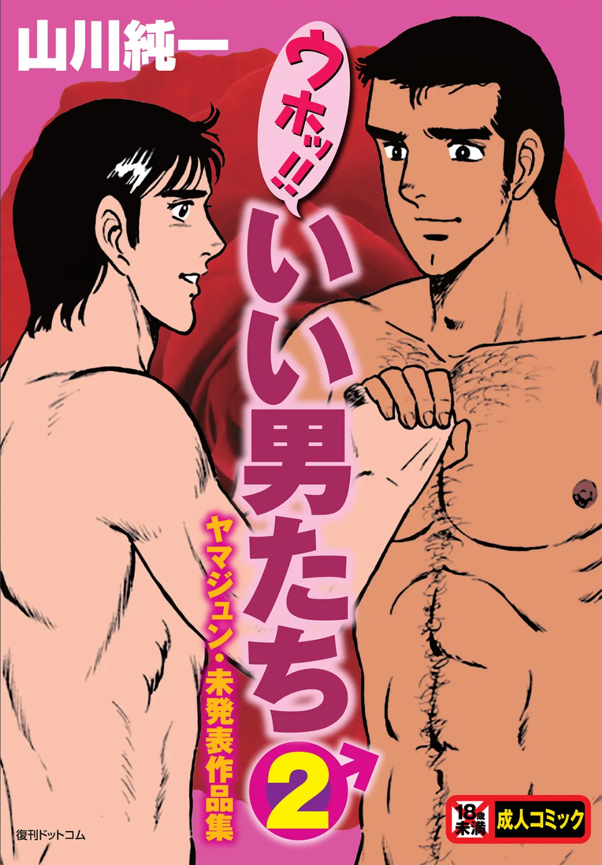ウホッ!!いい男たち 2 ヤマジュン・未発表作品集